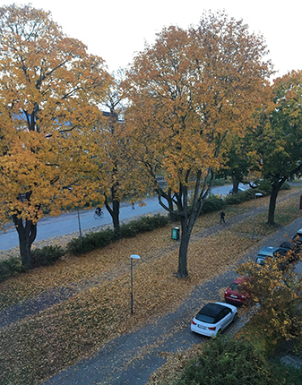 Höst utanför huset