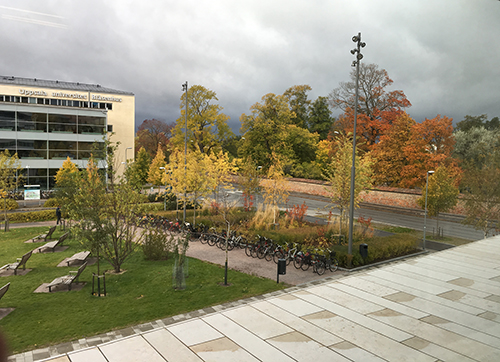 Höst utanför Segerstedthuset