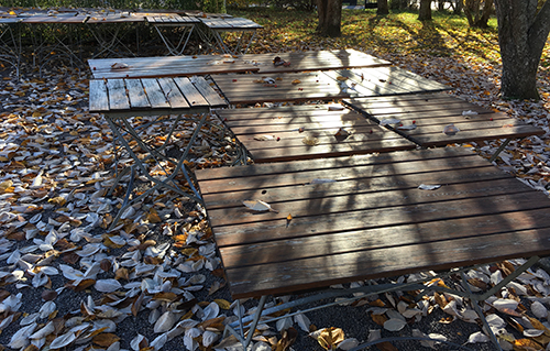 Bord bland höstlöv Café Victoria 18 okt 2018