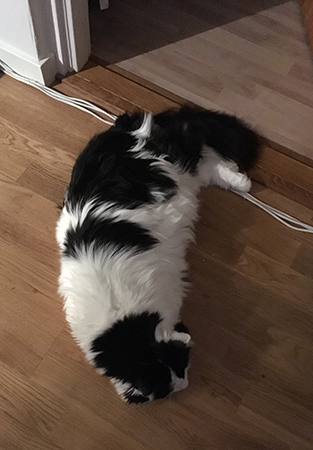 Lucifer ligger över en tröskel