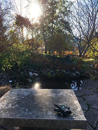 Stenbord och damm i Botaniska 24 okt 2018