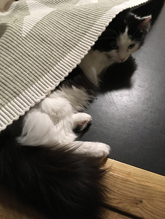 Lucifer under mattan