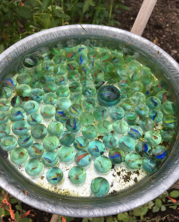 Fågelbad med glaskulor i Botaniska trädgården