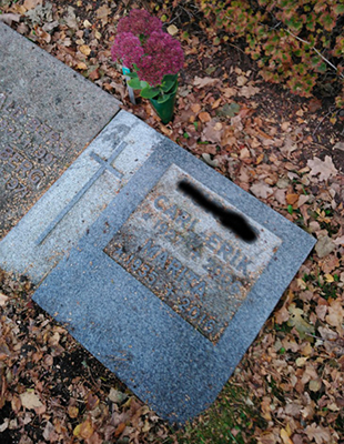 Kärleksört vid graven