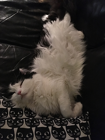 Lucifer vräker ut sig i soffan