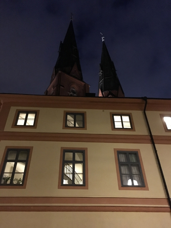 Domkyrkotornen kväll