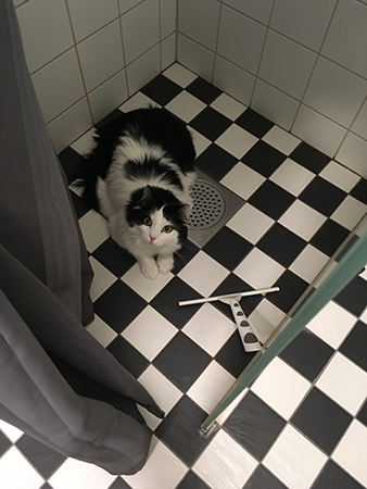 Lucifer gömmer sig i duschen