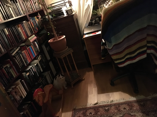 Bokrummets vänstra sida