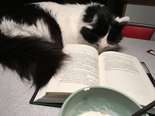 Lucifer på frukostbordet måndag morgon