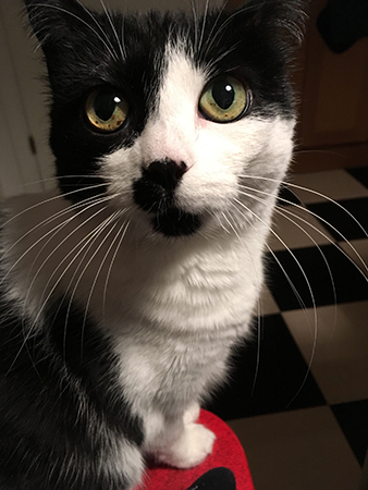 Mini med mig vid köksbordet