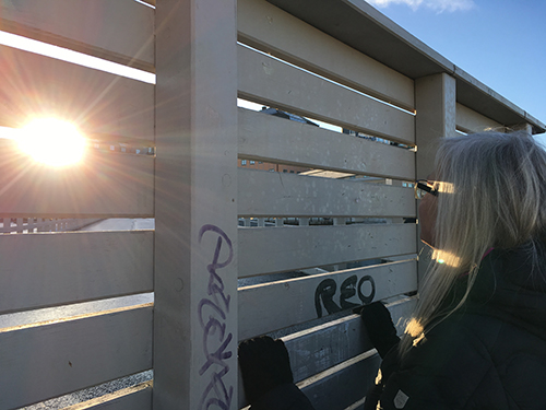 Anna kikar på solen