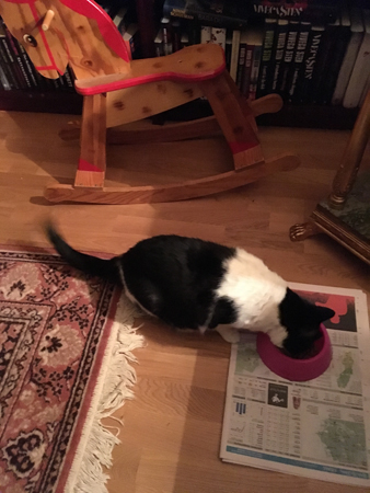 Mini äter med gunghästen