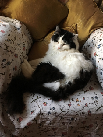 Lucifer i farfarsfåtöljen