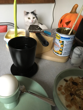 Citrus lilla huvud vid frukostbordet