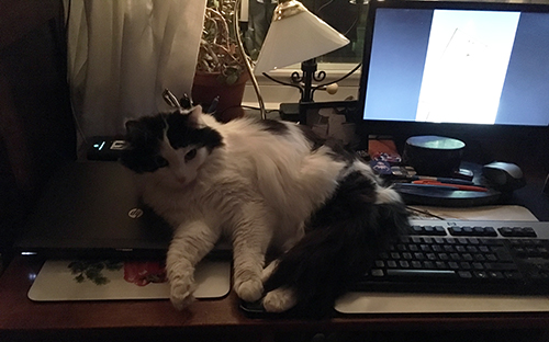 Lucifer på skrivbordet