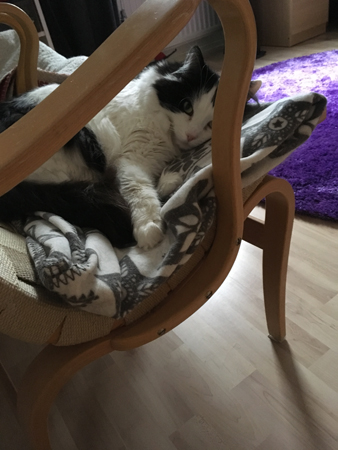 Lucifer slappar i Bruno Mathssonfåtölj