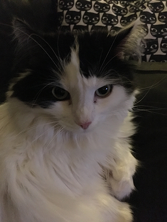 Lucifer vaken i soffan