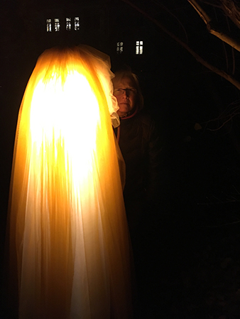 Familjen Skyttes demoner