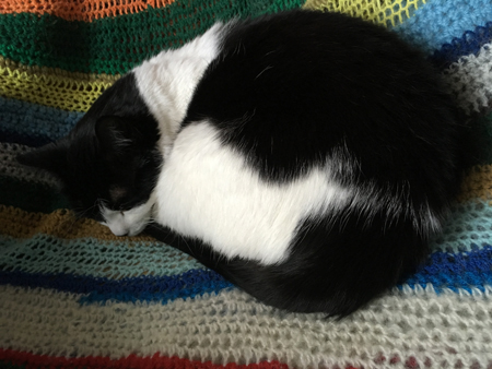 Mini slappar i skrivbordsstolen