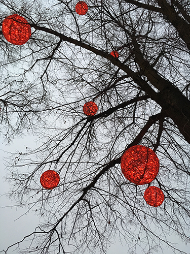 Röda bollar i träden Röda bollar i träden