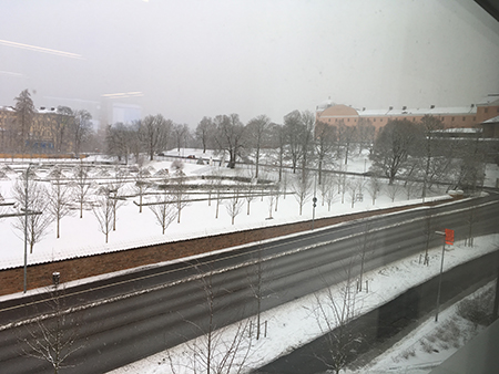 Gråvinter utanför jobbet