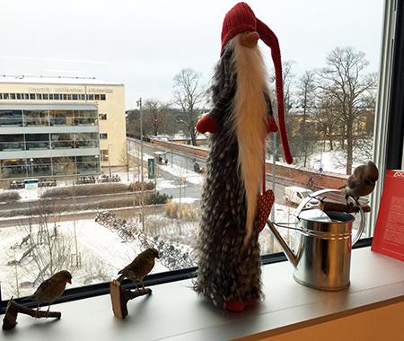 Lång tomte och fåglar i fönster på jobbet