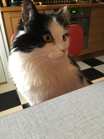 Lucifer vid frukostbordet