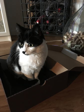 Mini i lådan framför vinskåpet