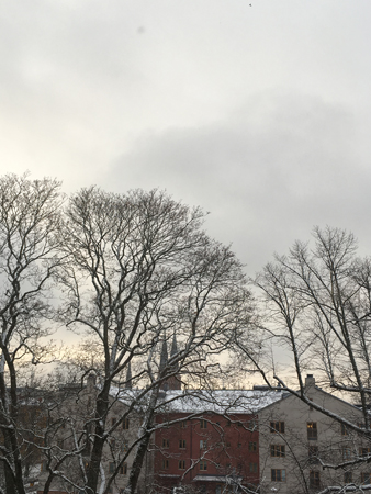 Utsikt från balkongen