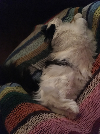 Lucifer i skrivbordsstolen