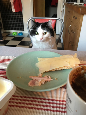 Lucifer vid köksbordet