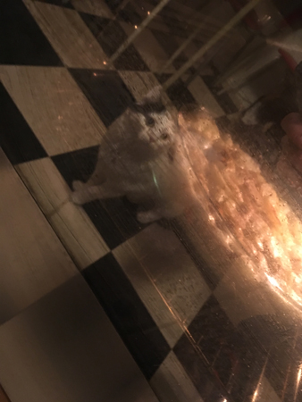 Jansson i ugnen Citrus bevakar