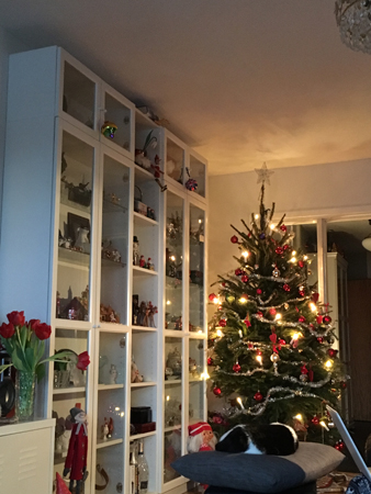 Julgranen och Mini sover på en kudde