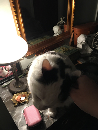 Citrus på byrån i hallen