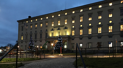 Carolina Rediviva med granar