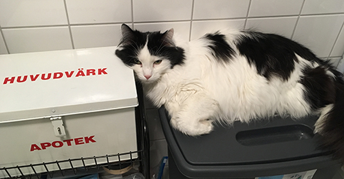 Lucifer medicinlådan och tvättkorgen