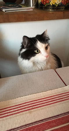 Lucifer vid köksbordet