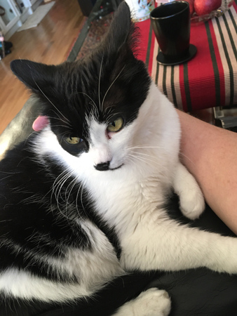 Mini och jag i bästefåtöljen