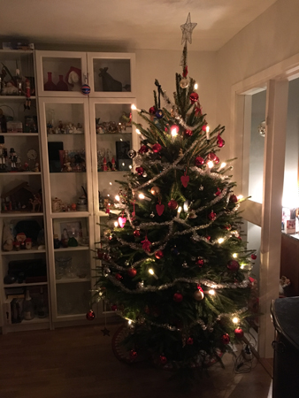 Vår julgran 2018