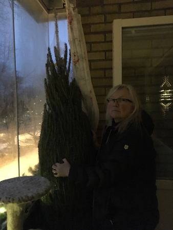 Anna håller om den nätade granen på balkongen