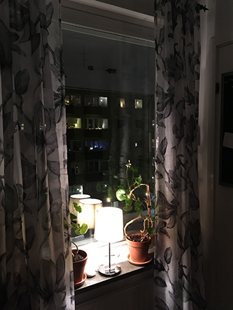 Köksfönstret med nya gardiner