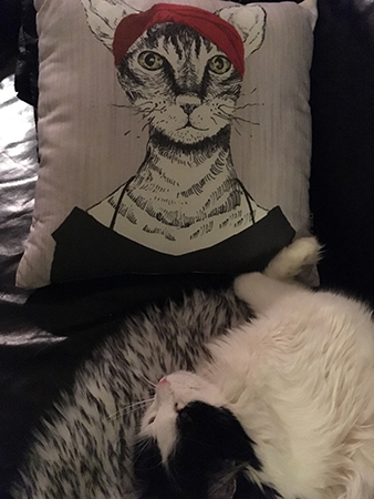 Kattkudden och Lucifer