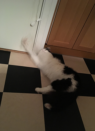 Lucifer busar med papperstuss i snöre