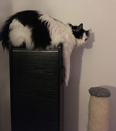 Lucifer på cdskåpet