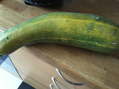 Squash från sommaren 2018