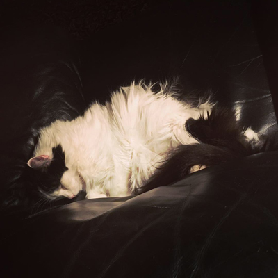 Lucifer sover i annas fåtölj