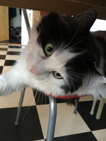 Lucifer under bordet