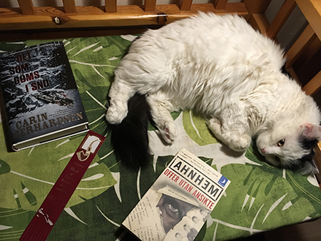 Citrus och böckerna Det som göms i snö och Offer utan ansikte