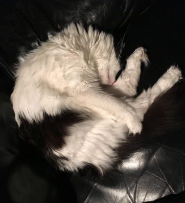 Lucifer i Annas fåtölj