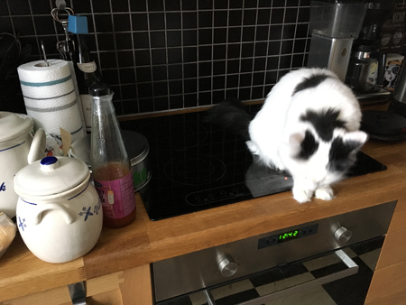 Citrus hjälper till